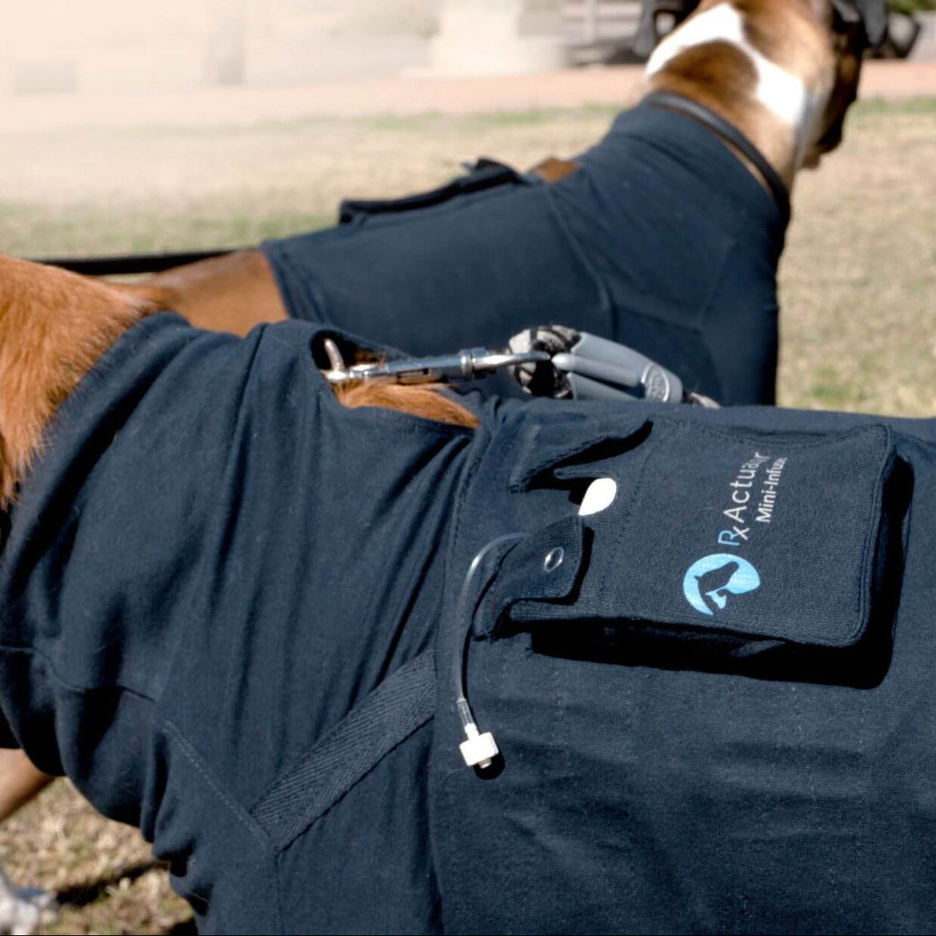 Medical Pet Vests for Wearable Mini-Infuser®