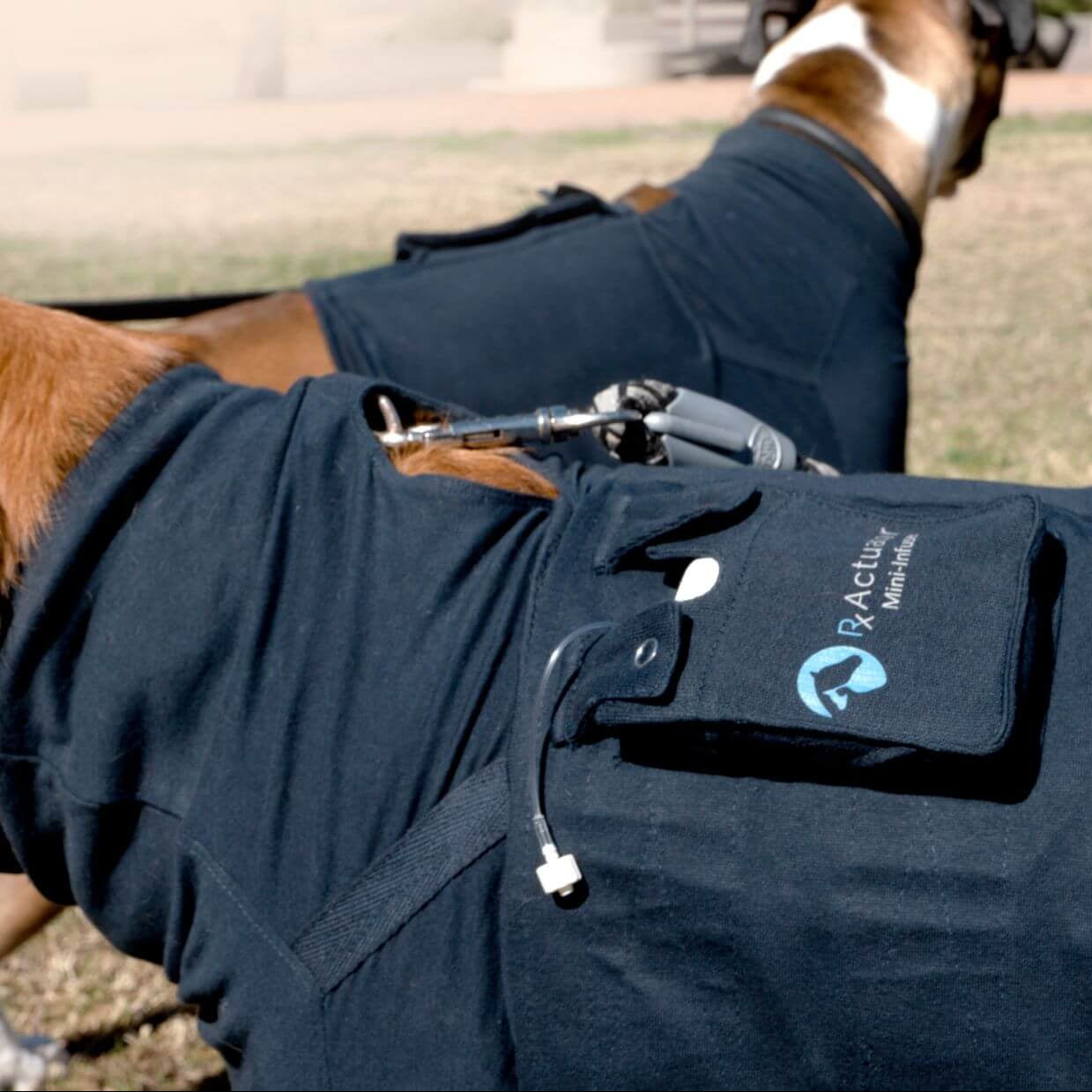 Medical Pet Vests for Wearable Mini-Infuser™
